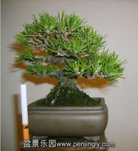 QQͼƬ20130930214402.jpg