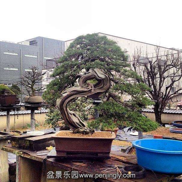 360ͼ20140405095620218.jpg