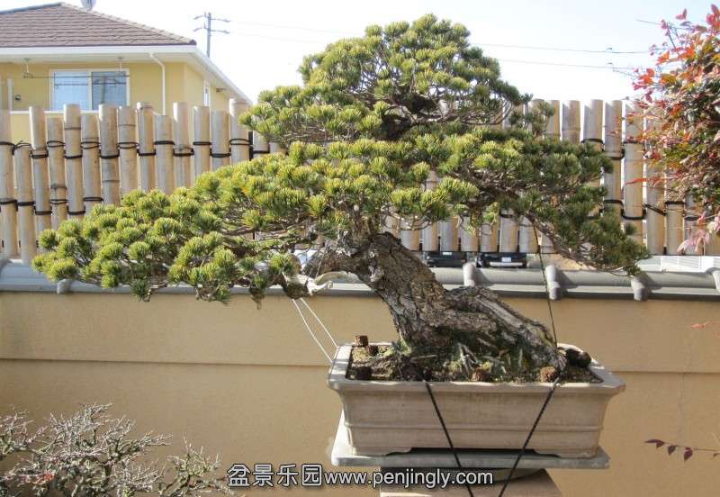 conew_img_8522.jpg