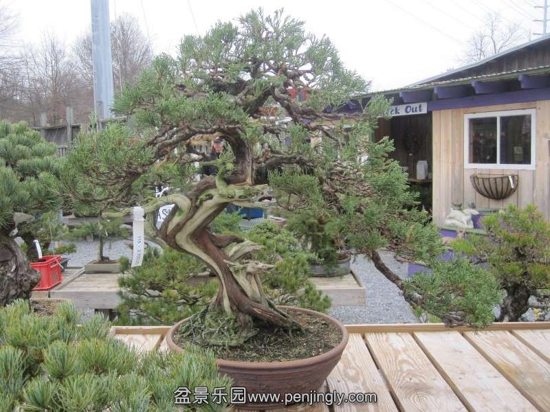 conew_img_9050.jpg