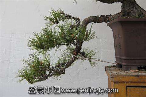 IMG_3895.JPG