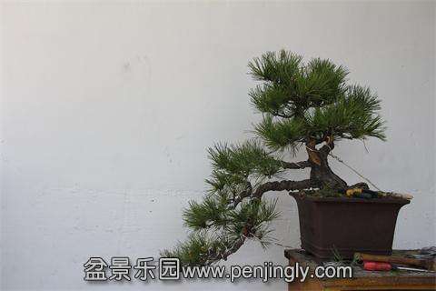 IMG_3896.JPG