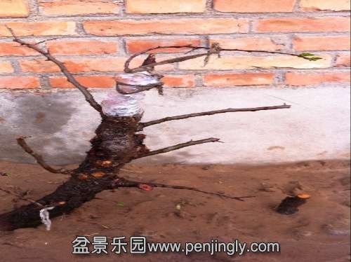 image.jpg
