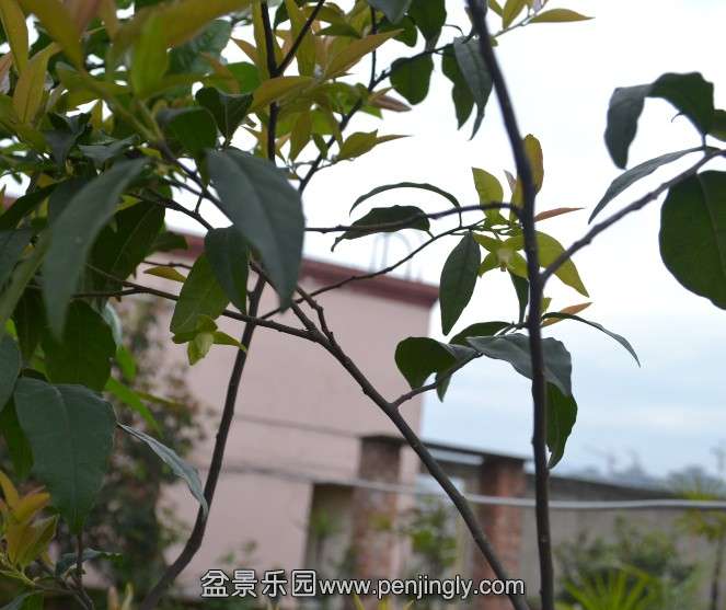 QQͼƬ20140405171026.jpg