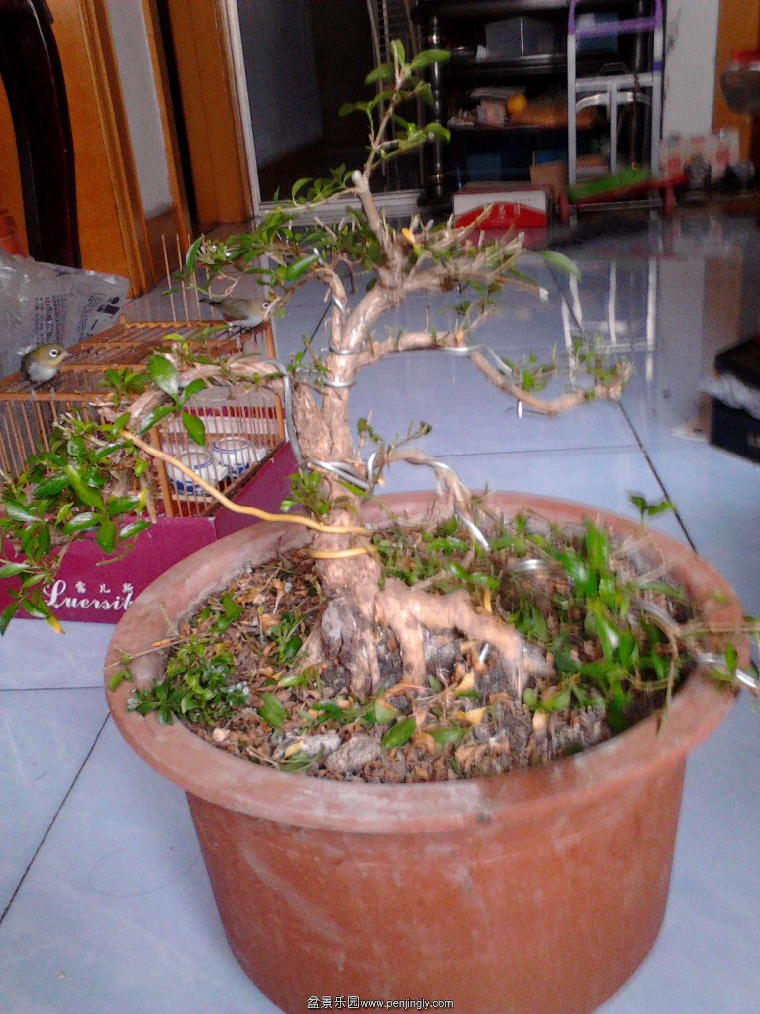 IMG20140329001.jpg