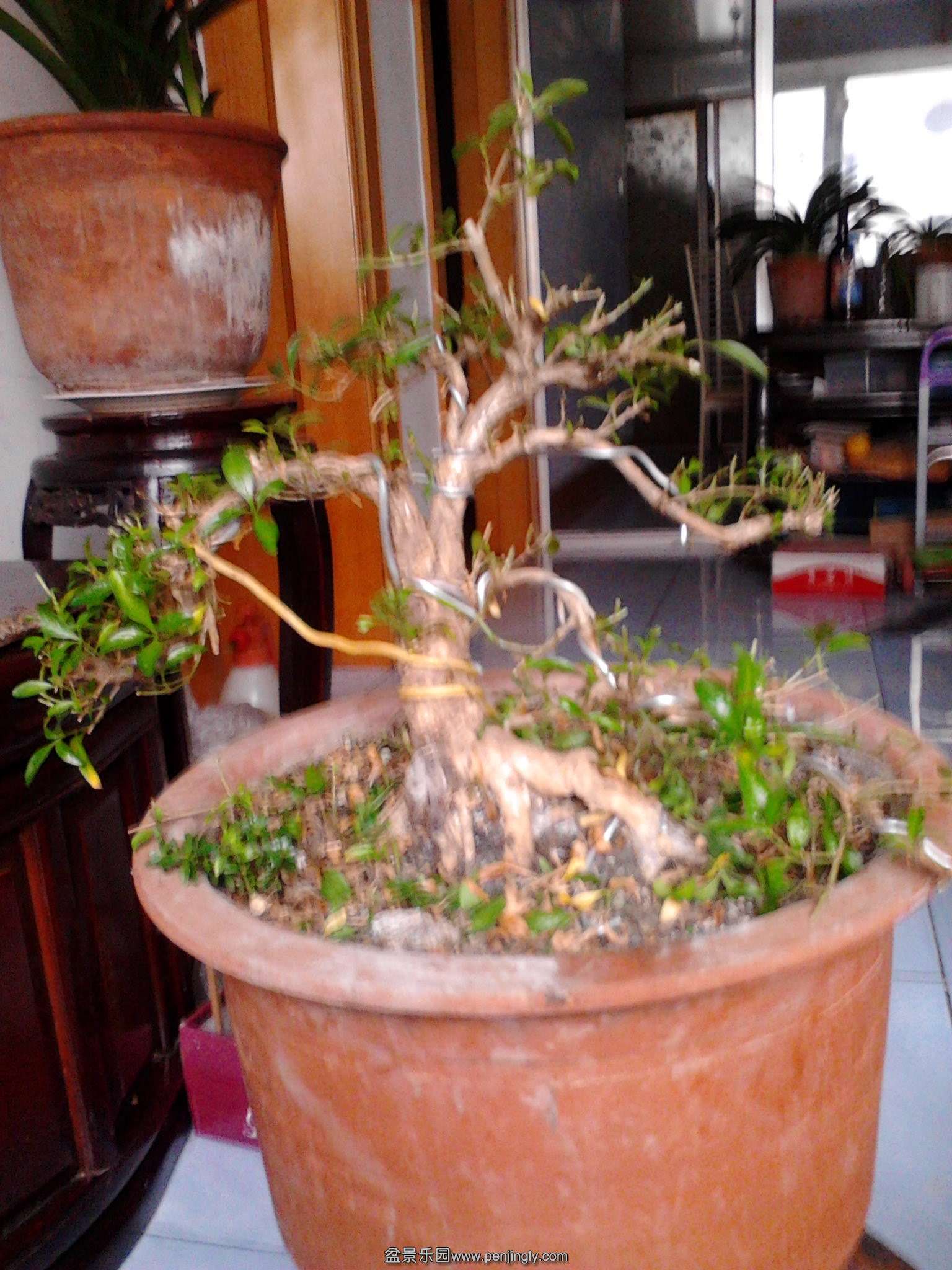 IMG20140329002.jpg