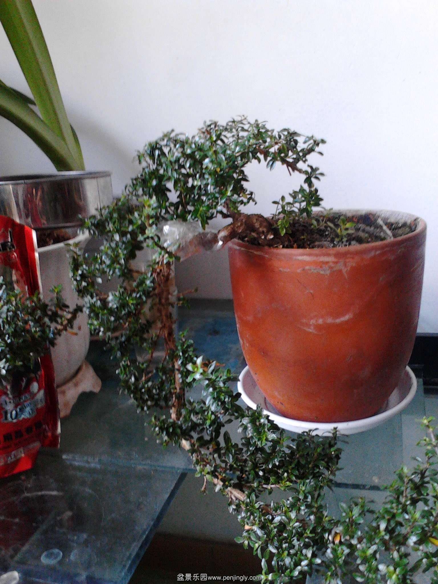 IMG20140405001.jpg