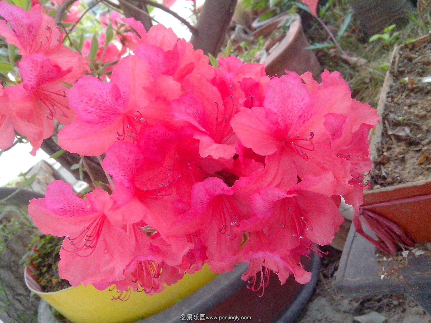 IMG20140406001.jpg