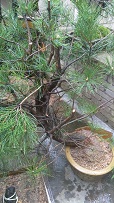 IMG_20140406_152659.jpg