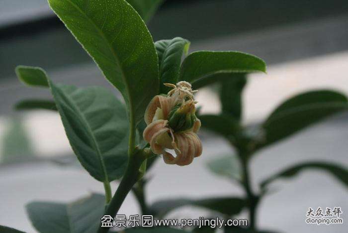 jkys_2092068_1482314_l.jpg