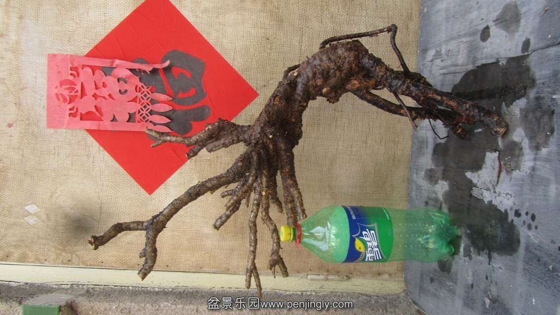 psbCA2WTTH0.jpg