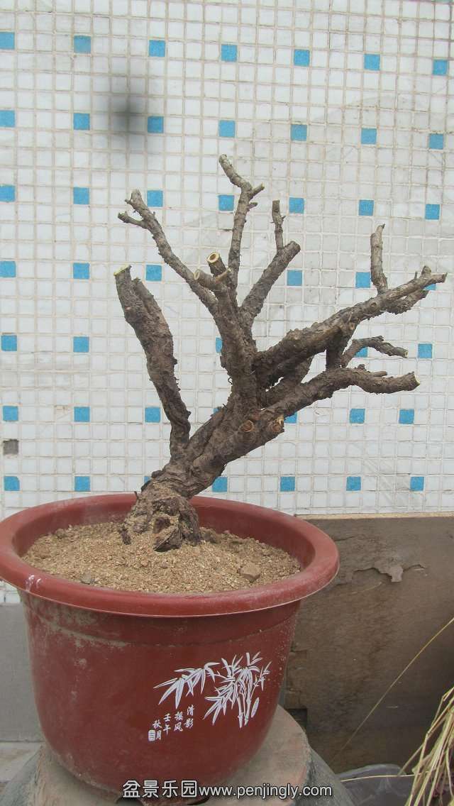 psb[11].jpg