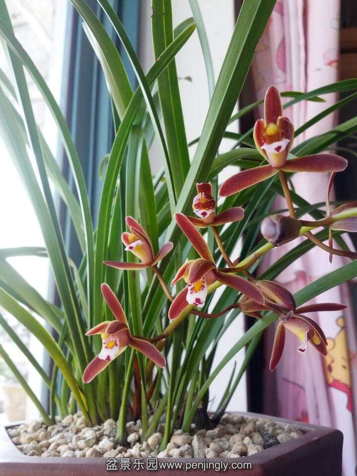 QQͼƬ20140406224458.jpg