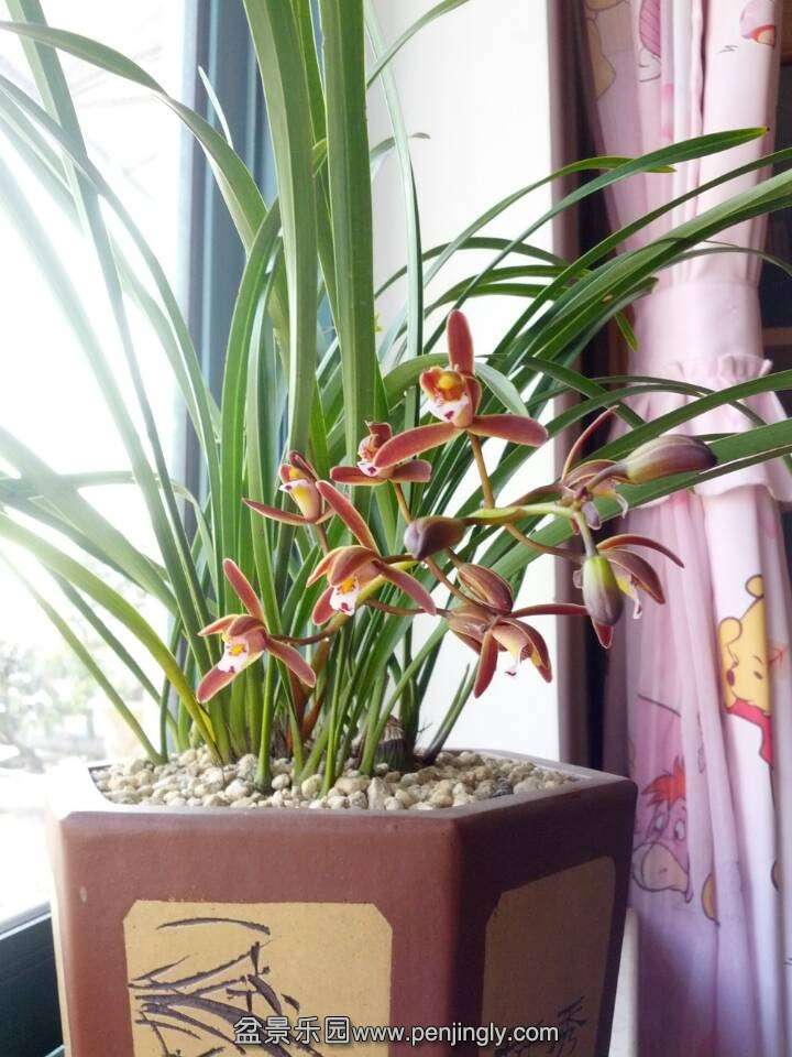 QQͼƬ20140406224436.jpg