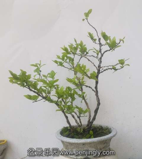201404062395.jpg