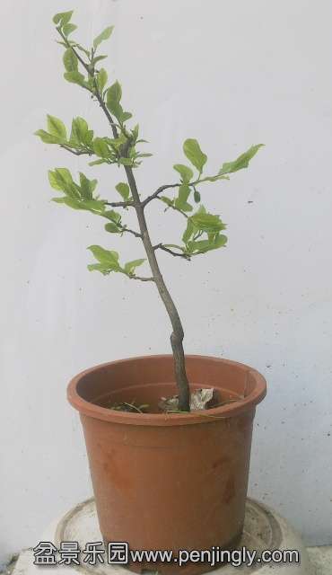 201404062397.jpg