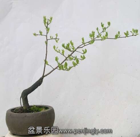 201404032386.jpg