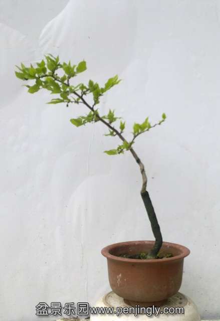 201404022376.jpg