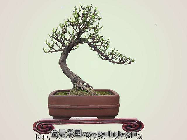 ���� �޺��ɷ���.jpg