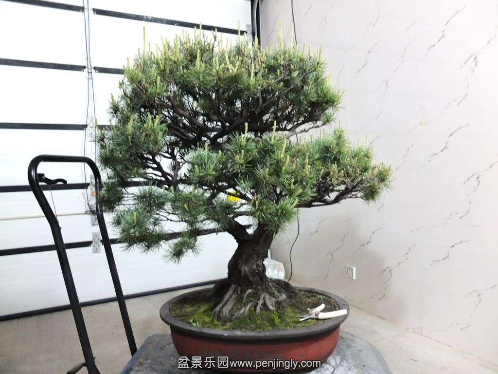 ѵ (1).JPG