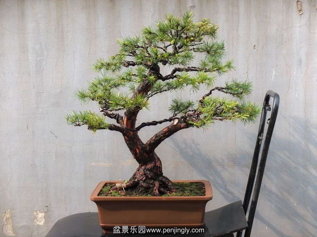 ѵ (2).JPG
