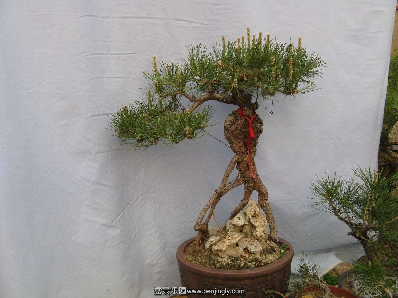 Ƭ 012.jpg