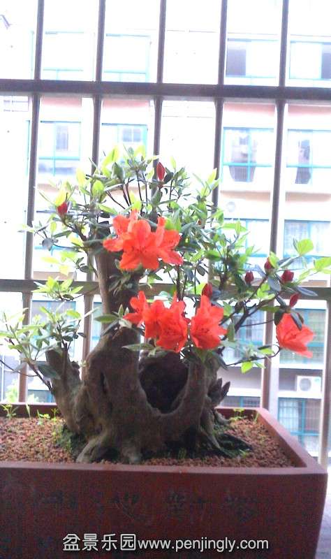 IMG0409062200.jpg