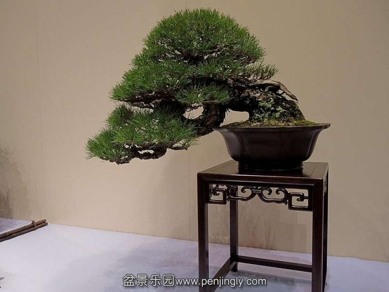 Kokufu Ten 2013 009.jpg