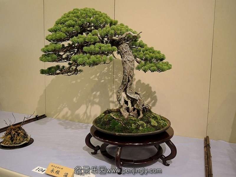 Kokufu Ten 2013 028.jpg