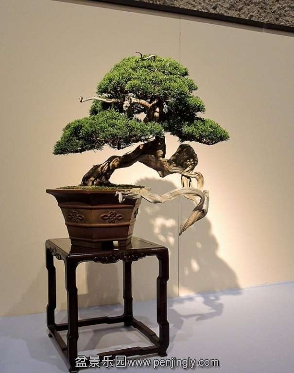 Kokufu Ten 2013 037.jpg