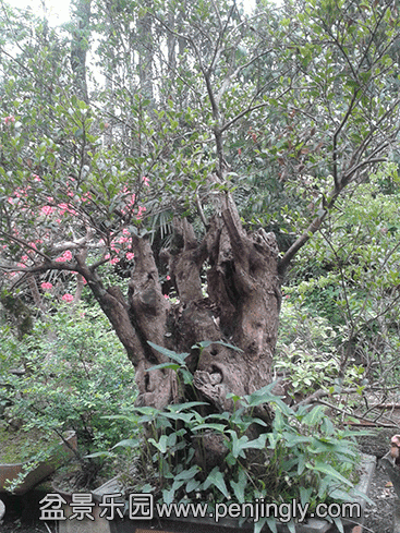 20140411_130023 .gif