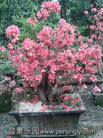 20140411_1259250 .gif