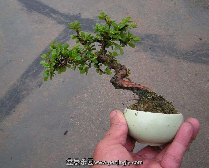 QQͼƬ20140412080753.jpg