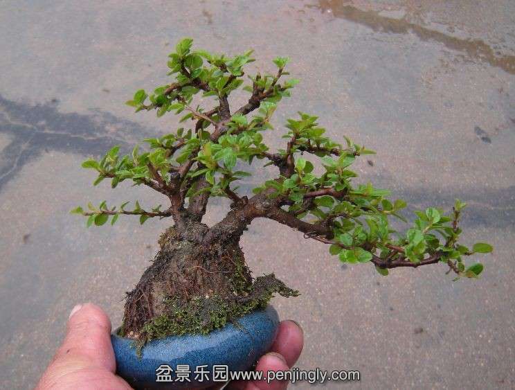 QQͼƬ20140412080829.jpg