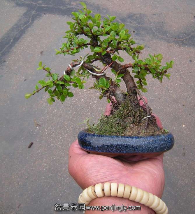 QQͼƬ20140412080919.jpg