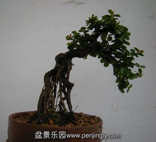 QQͼƬ20140412213115.jpg