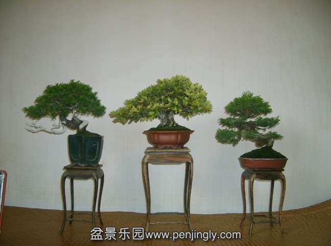 QQͼƬ20130930214158.jpg