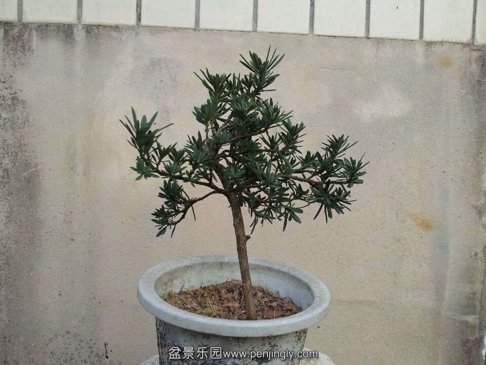 BB56C15B1C9C5DB8B66E557E2767E077.jpg