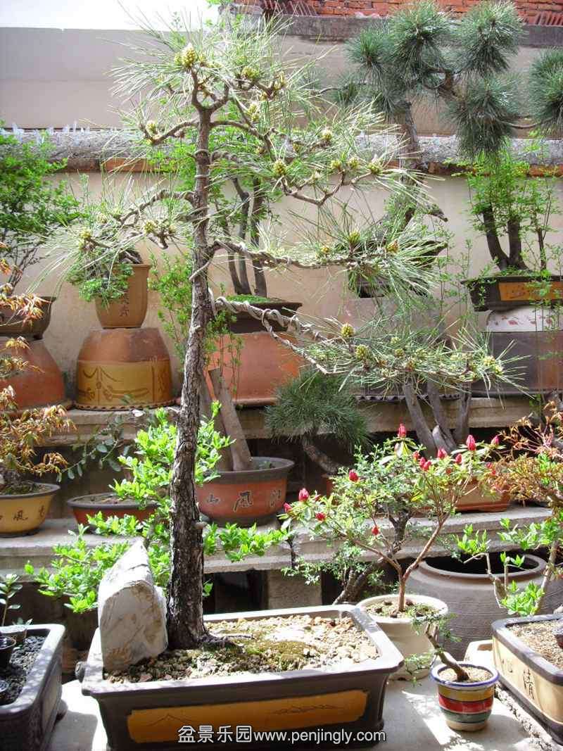 SDC13981.JPG
