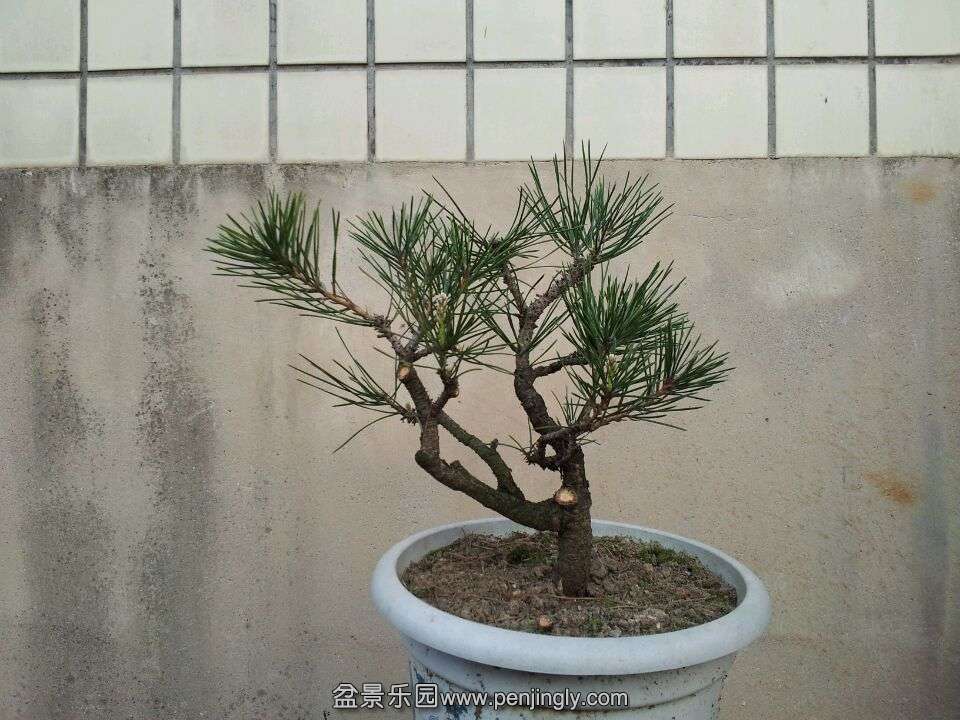 805AB1CBD60046A9494E86B520386BD3.jpg