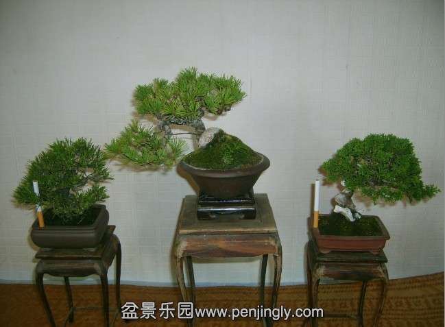 QQͼƬ20130930214304.jpg