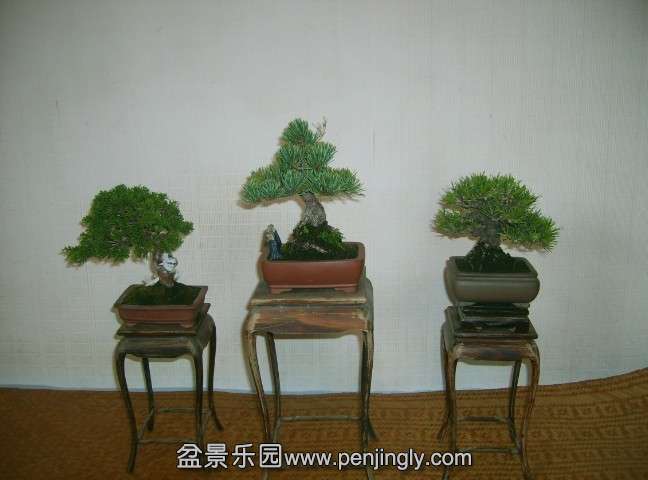 QQͼƬ20130930214312.jpg