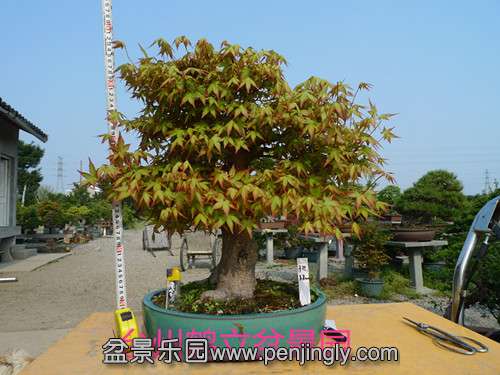 P1090318_.jpg