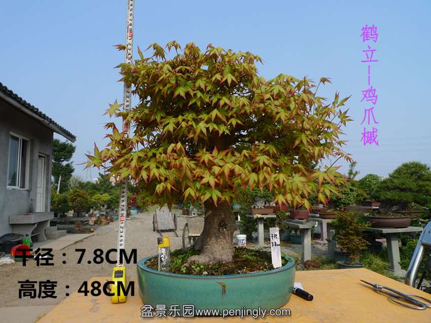 P1090319_.jpg