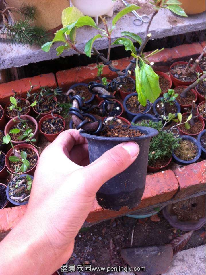 QQͼƬ20140414150417.jpg