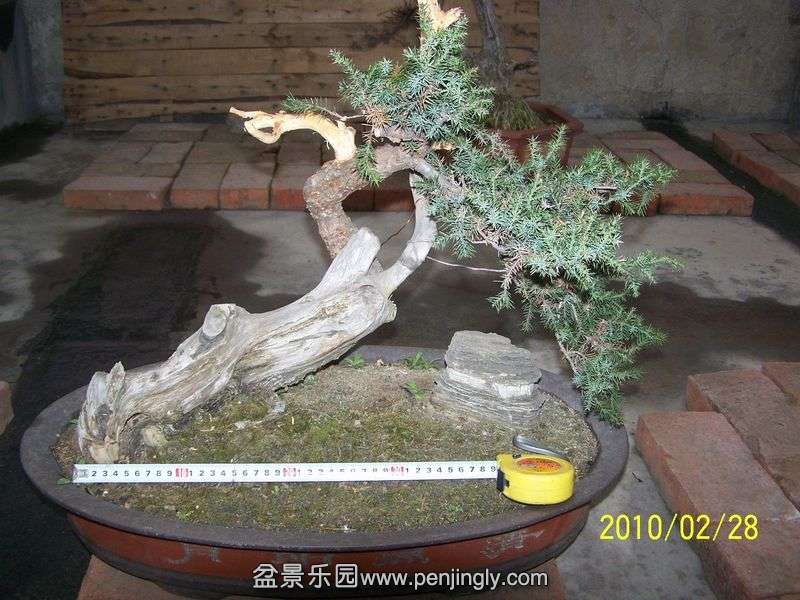 Ƭ 90152.jpg