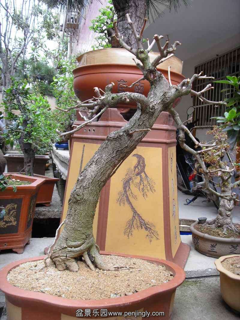 SDC13842.JPG