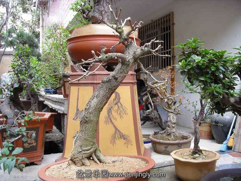 SDC13843.JPG