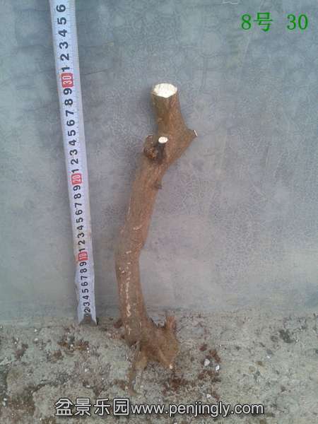 20140415_175213.jpg