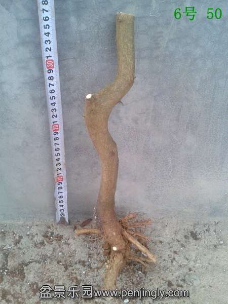 20140415_175147.jpg